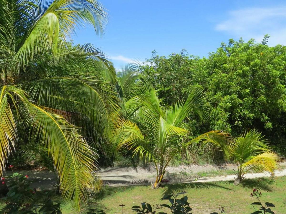 Orchid Cottage By Eleuthera Vacation Rentals Governor's Harbour Eksteriør bilde