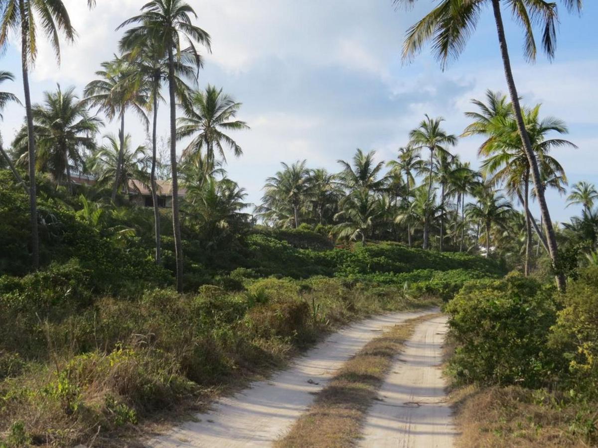 Orchid Cottage By Eleuthera Vacation Rentals Governor's Harbour Eksteriør bilde