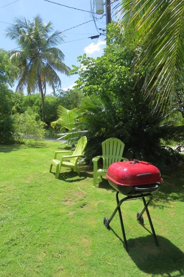 Orchid Cottage By Eleuthera Vacation Rentals Governor's Harbour Eksteriør bilde